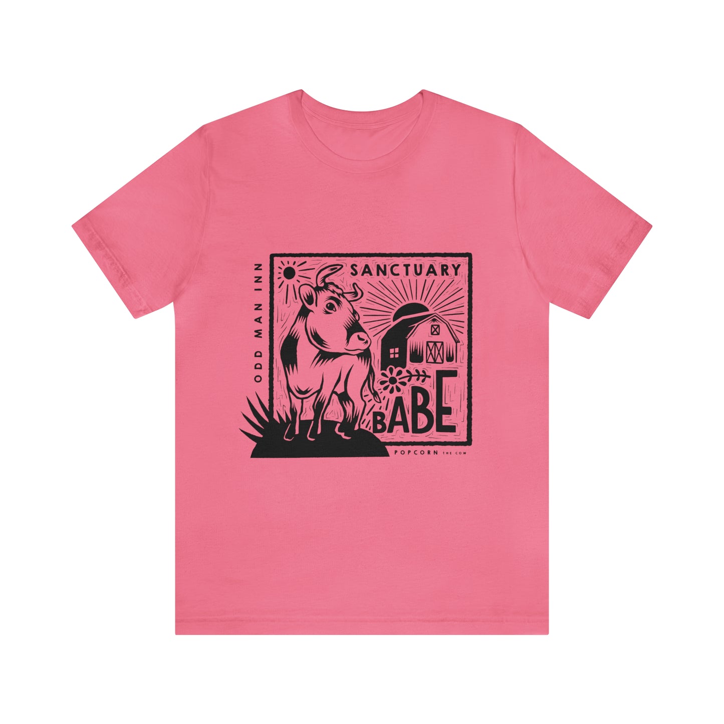Sanctuary Babe Tee (10+ Color Options)