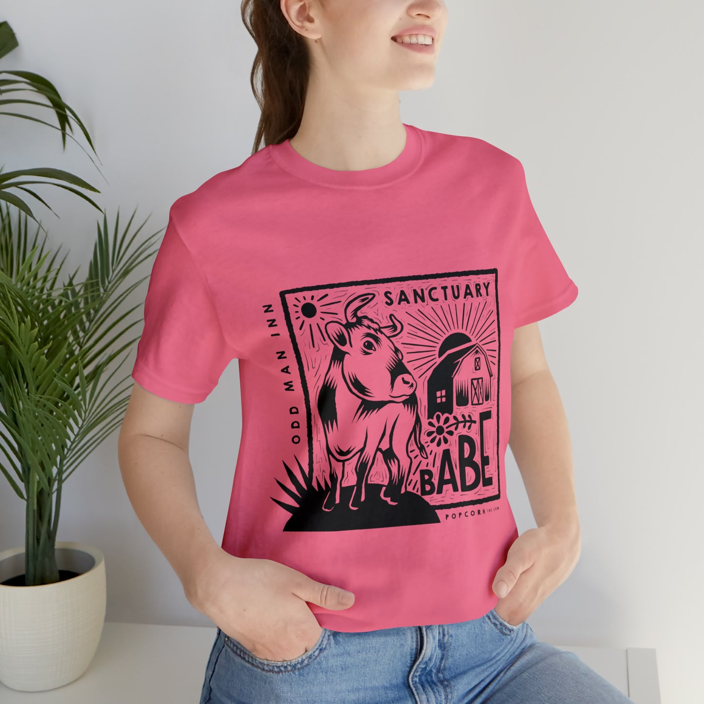 Sanctuary Babe Tee (10+ Color Options)