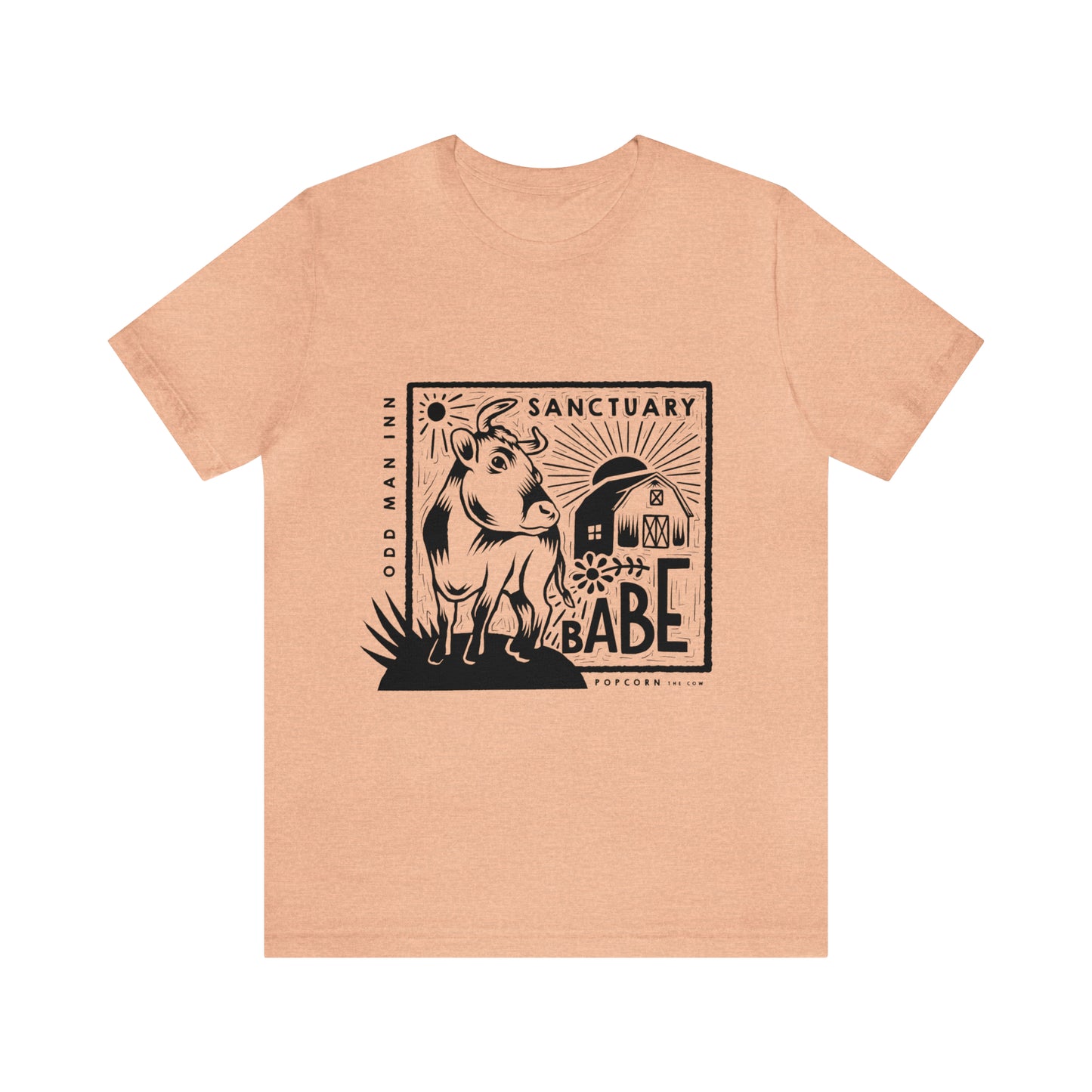 Sanctuary Babe Tee (10+ Color Options)