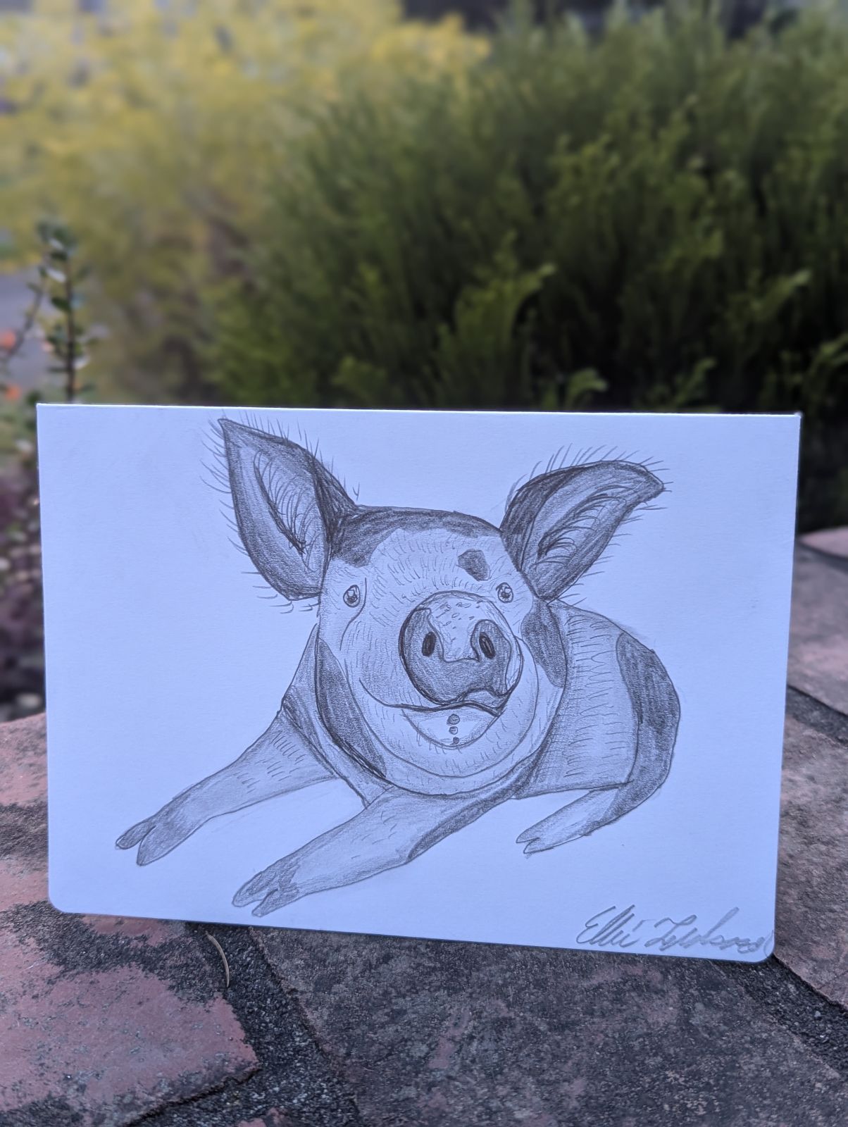 Young Artist Series: “Ichabod" Hand-Drawn Greeting Card