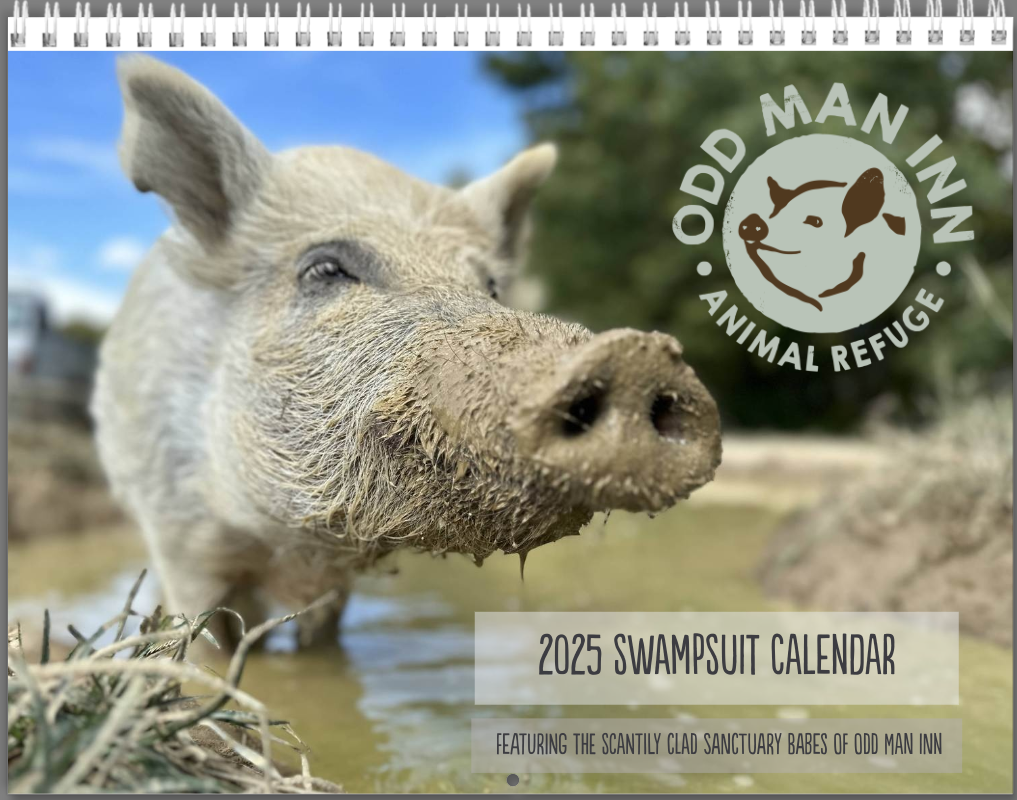 *CORRECTED* 2025 SwampSuit Calendar