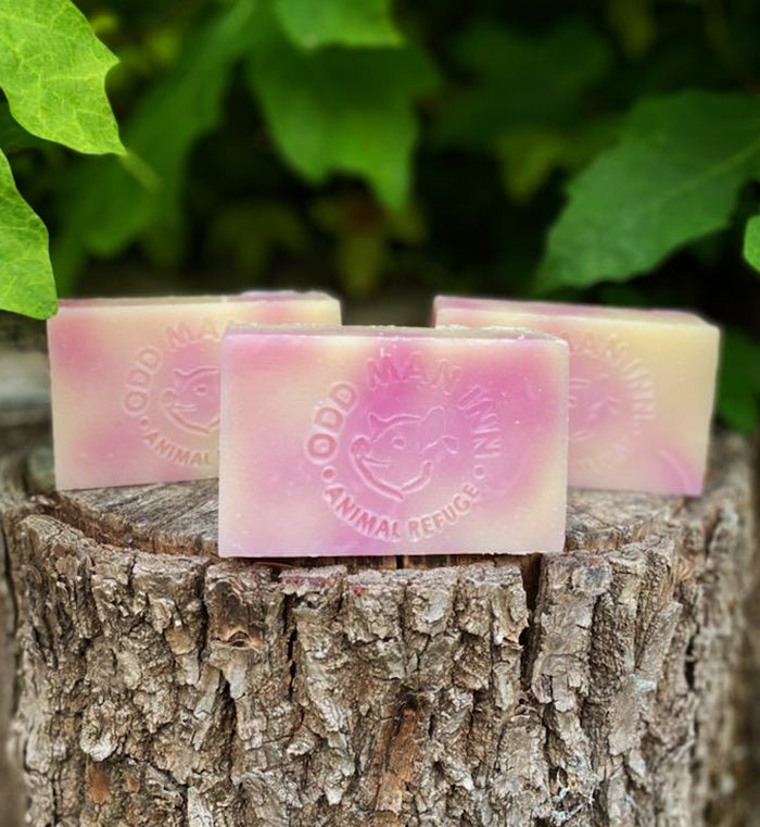 Handcrafted Cruelty-Free "Swamp Soap"