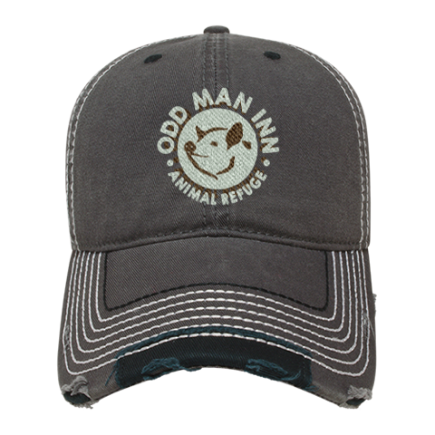Baseball Cap with Embroidered Logo (100% Cotton)