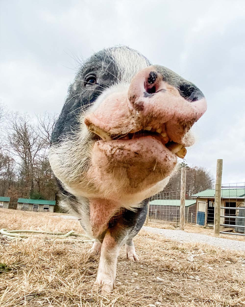 Private Melvin's Mail