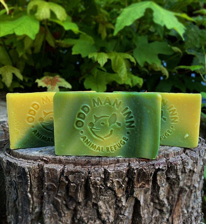 Handcrafted Cruelty-Free "Swamp Soap"