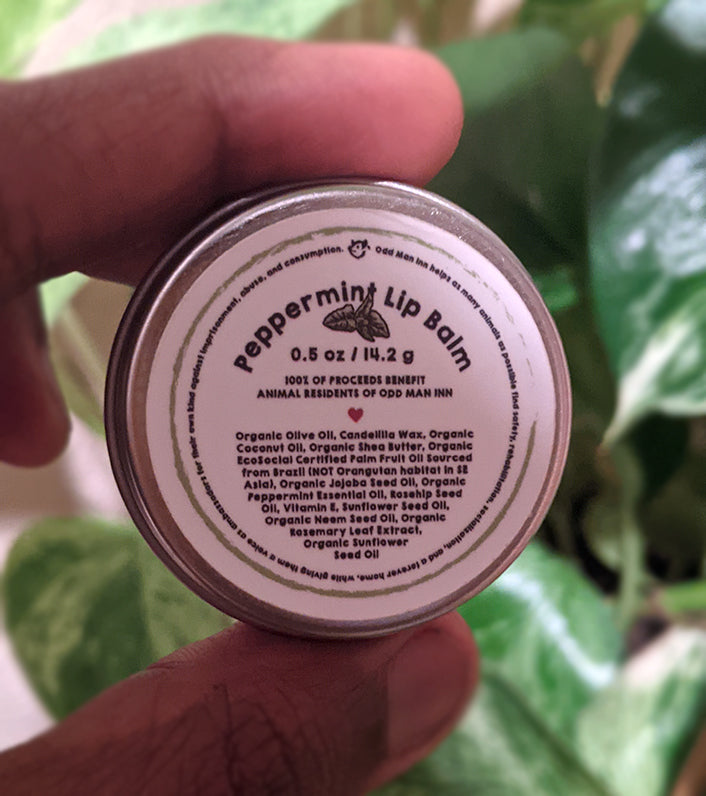 Vegan Lip Balm Ingredients