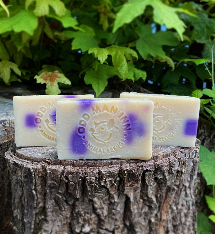 Handcrafted Cruelty-Free "Swamp Soap"