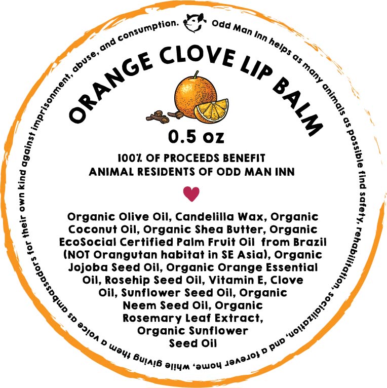 Swamp Lips Vegan Lip Balm