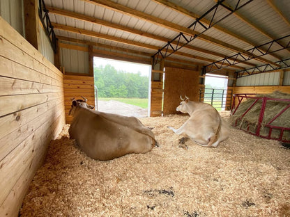 Gift a Round Bale to the Cows