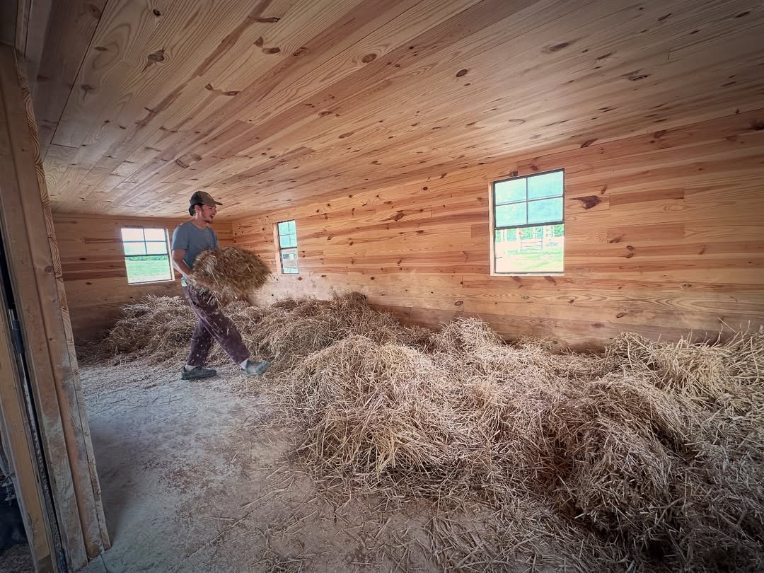 Gift a Bale of Bedding to the Pigs