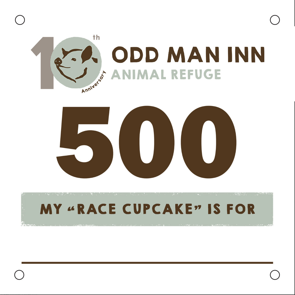 10th Anniversary No-K Official Race Bib