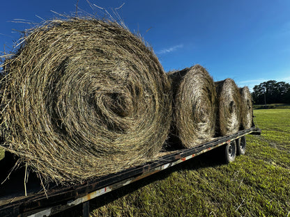 Gift a Round Bale to the Cows