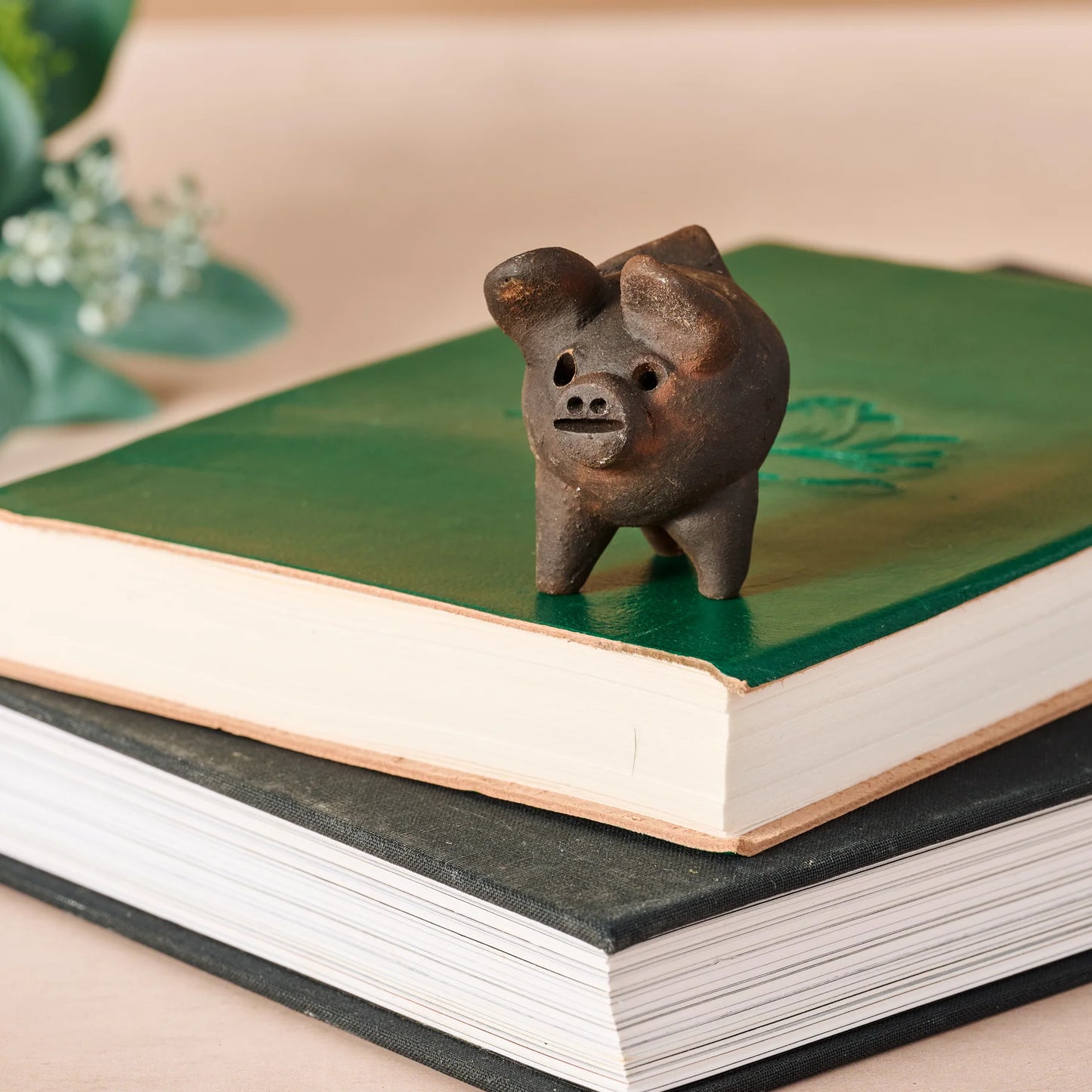 Good Luck Pig: Chanchito