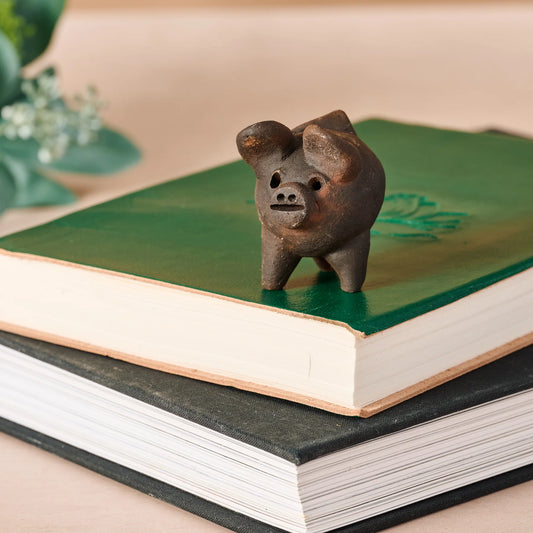Good Luck Pig: Chanchito