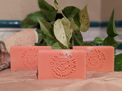 Big Boss Charity (Chamomile–Apricot) - Handcrafted, Cruelty-Free Swamp Soap