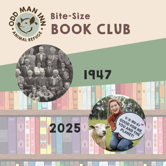 Odd Man Inn Bite-Size Book Club