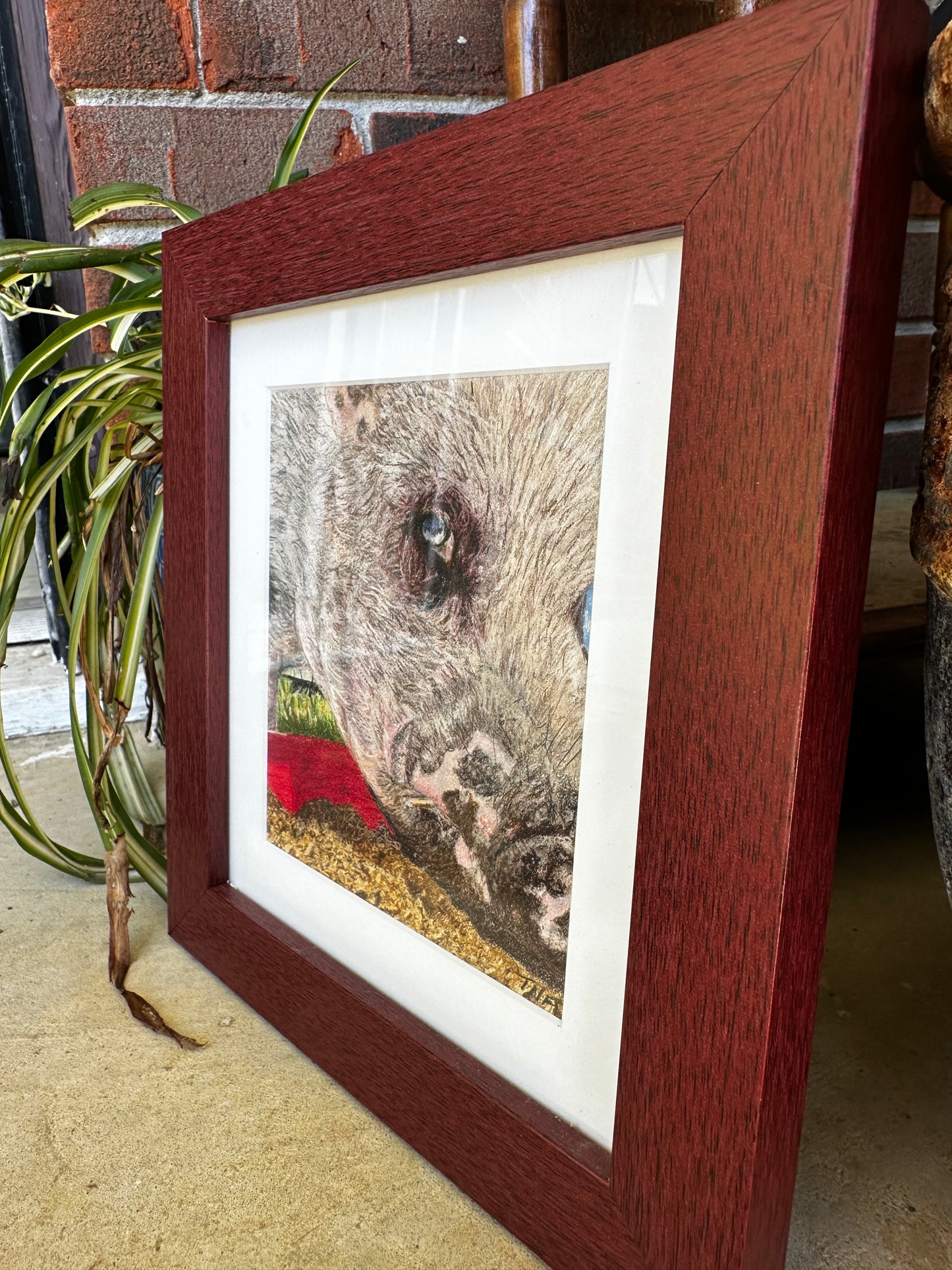 Bubo — Framed Color Pencil Portrait by Tricia Formanski