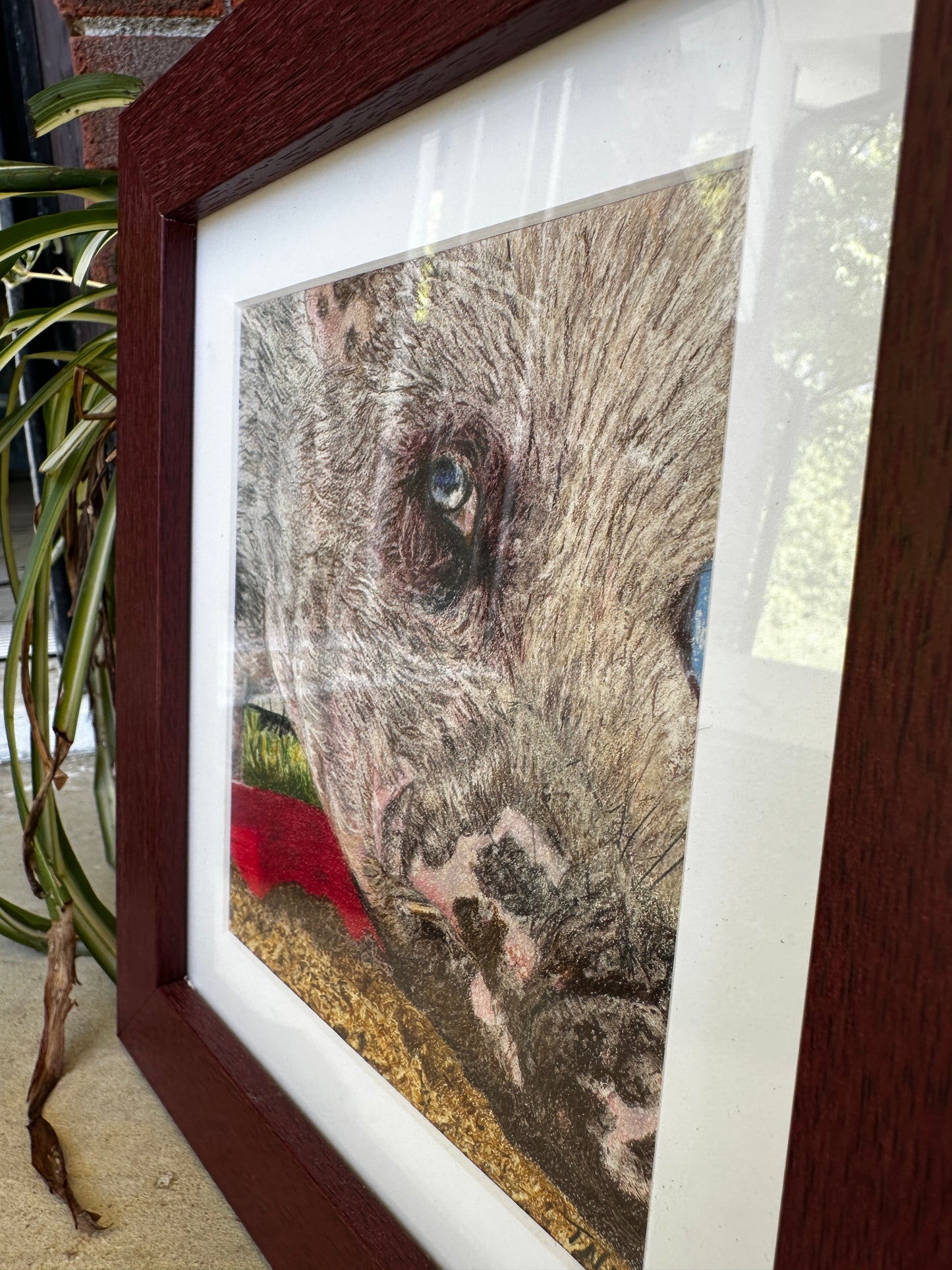 Bubo — Framed Color Pencil Portrait by Tricia Formanski