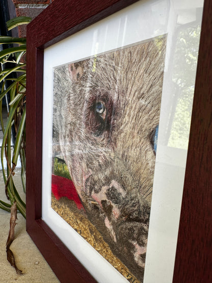 Bubo — Framed Color Pencil Portrait by Tricia Formanski