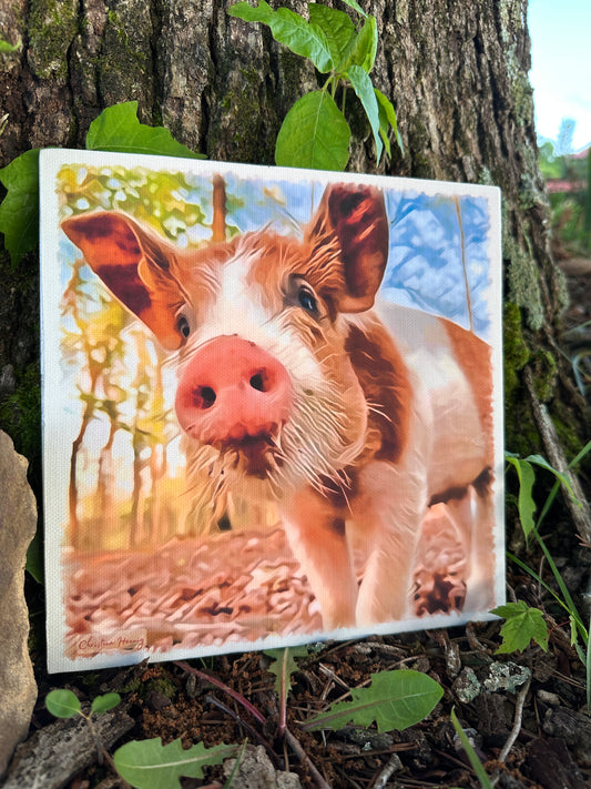 Miss Maple: The Incredible Journey  (Print on Canvas Board)