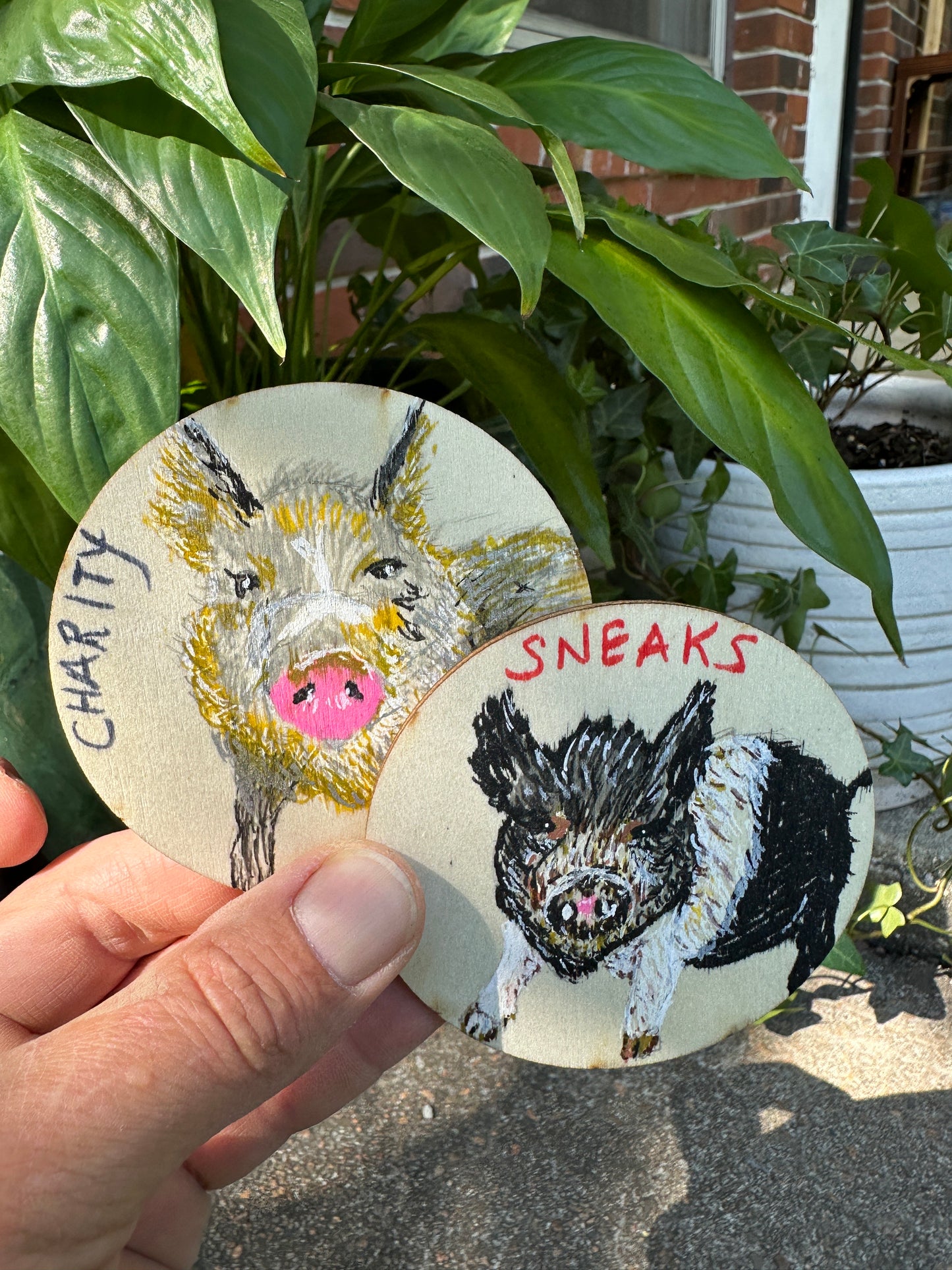 Poorly Painted Pig Magnets