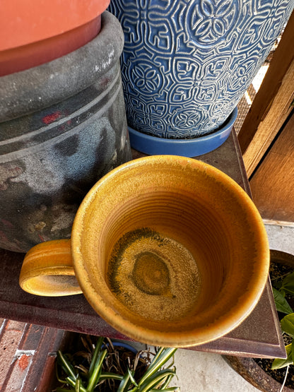 Honey-Amber Stoneware Mug by the Vegan Potter