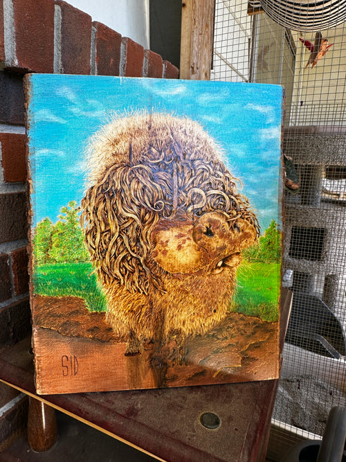 Sid the Swamp Pig Woodburning Portrait