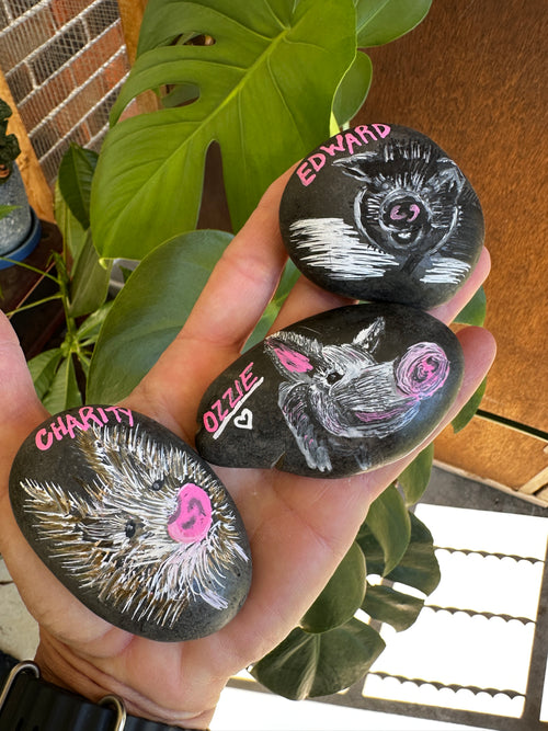 Poorly Painted Presidential Pigs: Ozzie, Charity & Edward