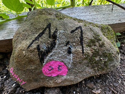 Ginny’s Poorly Painted Pig