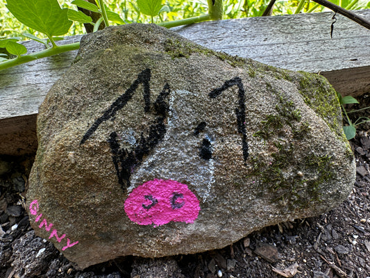 Ginny’s Poorly Painted Pig