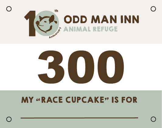 10th Anniversary No-K Official Race Bib