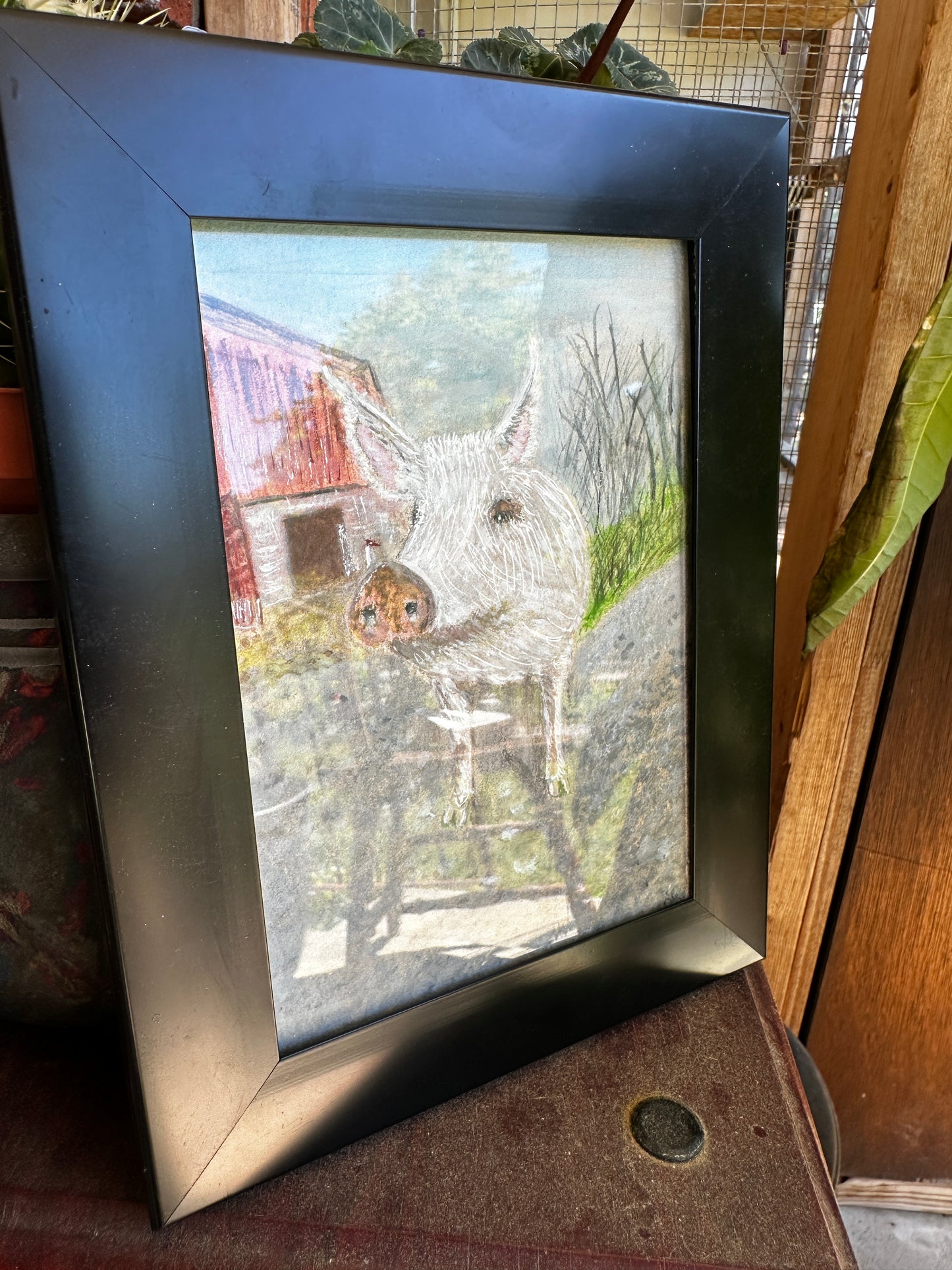 Ozzie: Framed Mixed Dry Media Portrait by Darci