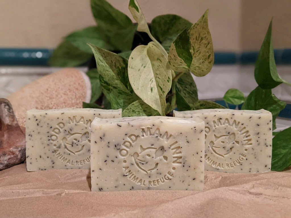 Pig of the Woods (Tea Tree Cedarwood) - Handcrafted, Cruelty-Free Swamp Soap