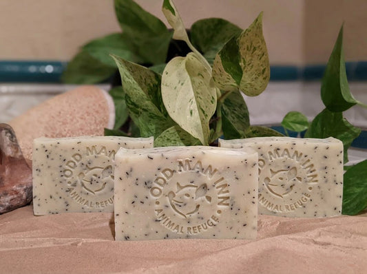 Pig of the Woods (Tea Tree Cedarwood) - Handcrafted, Cruelty-Free "Swamp Soap"