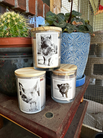 Hand-Poured Maple Scented Presidential Candles (Set of Three)