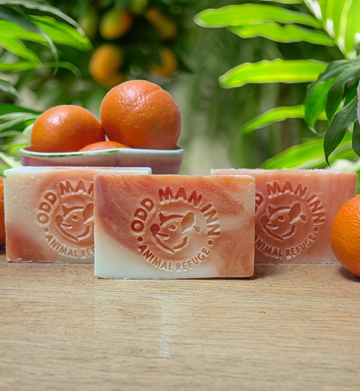 Handcrafted Cruelty-Free "Swamp Soap"