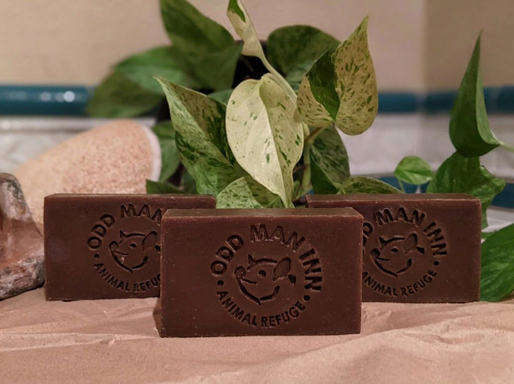 KIND of a pig deal (Vanilla Oatmeal) - Handcrafted, Cruelty-Free "Swamp Soap"