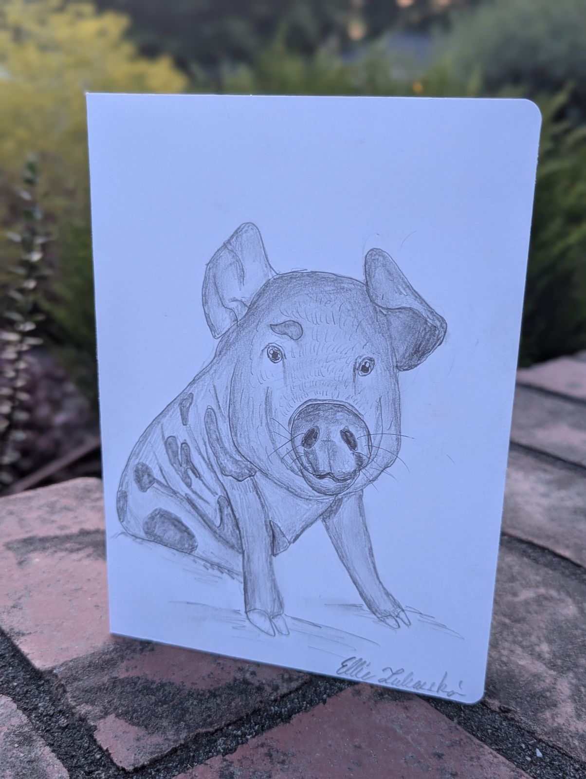 Young Artist Series: “Flip" Hand-Drawn Greeting Card