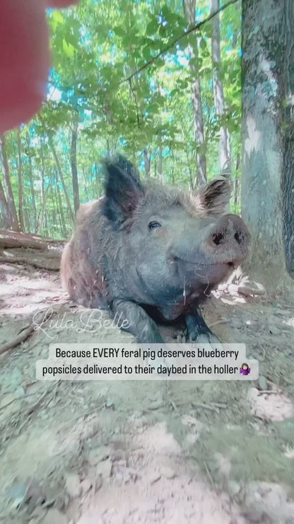 BoopBerry Scrub (Blueberry Scrub) - Handcrafted, Cruelty-Free Swamp Soap