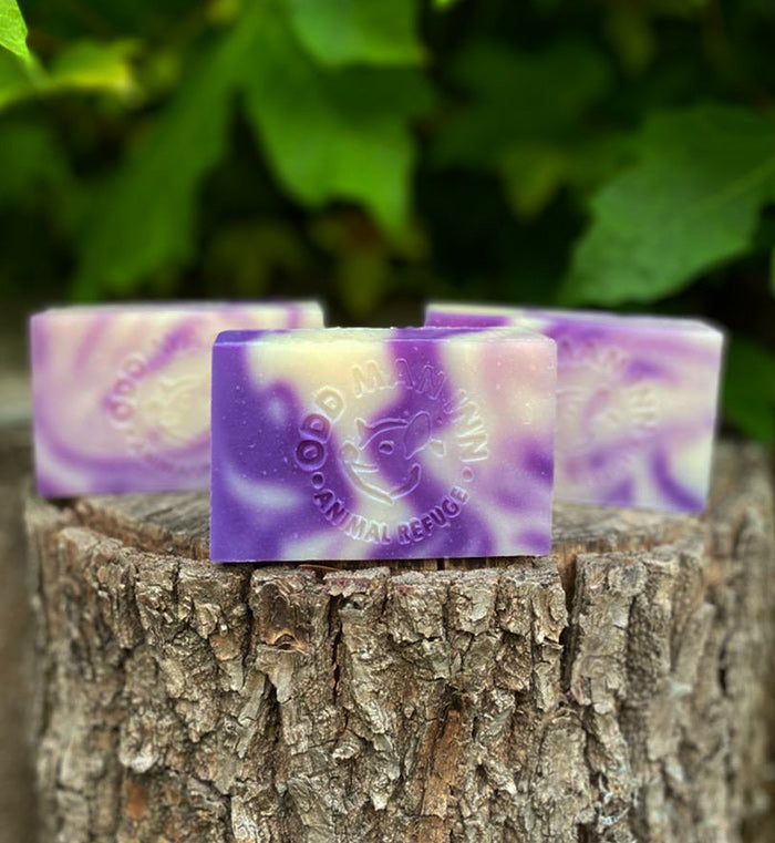 Handcrafted Cruelty-Free "Swamp Soap"