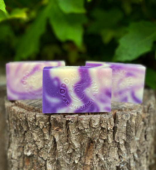 Handcrafted Cruelty-Free "Swamp Soap"