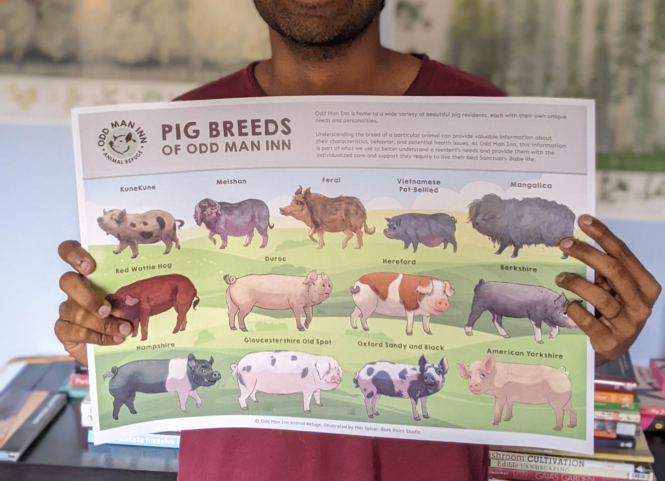 Pig Breeds of Odd Man Inn: An Illustrated Guide